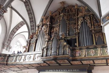 Orgel der Hauptkirche Wolfenbuettel.jpg